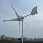2000w Wind Turbine Generator 5 Blade With Hybrid Controller 12v 24v 48v Windmill