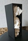 Skull Book Nook  Bookshelf Accessories   Gothic   Dark Decor - Halloween Lover