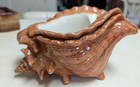 Vtg Atlantic Mold Conch Shell Ceramic Planter Nesting Insert Glazed Tan Brown