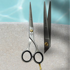 6  Polished German Professional Barber Scissors Shears Hair Cutting Salon Use