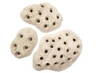Frag Station Hub Reef Plug Holder Live Coral Reef Saltwater Aquarium Propagation