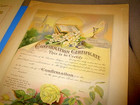  6  Original Antique Vtg Early 1900 s Unused Baptism   Communion Certificates