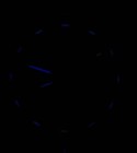 Men s Swiss Watch Luminox  navy Seal  3150