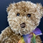 Gund Bearessence Brown Teddy Bear Plush Shaggy Rainbow Bow 16  Stuffed Animal