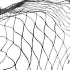 50ft Anti Bird Netting Pond Net Protection Tree Crops Plants Fruits Garden Mesh