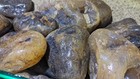 24 Lbs Rough Montana Agate Lapidary Cutting Tumbling For Sale 