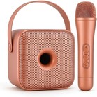 Portable Karaoke Speaker With Wireless Microphone  Bluetooth Ktv Machine Y-2 Pro