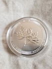 2019 10 Oz Canadian Magnificent Maple Leaf In Capsule