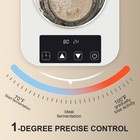 Sourdough Starter Warmer With Glass Dome  1  f Precise Temperature Control F