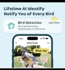 Birdfy Bird Feeder With Camera Seed Feeder 1 5l Blue white Plastic