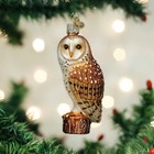 Old World Christmas Barn Owl Glass Tree Ornament 16118 Free Box Bird Animal New