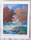 Misty Morn By Maxfield Parrish Bookplate