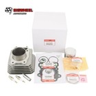 New Oem Cylinder Piston Top End Kit For 1988-2000 Honda Trx 300 Fourtrax Fw 4x4