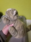 Vintage Trendmasters Gray Tabby Cat Plush Makes Noise Untested Vtg