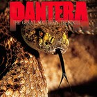 Pantera The Great Southern Trendkill Banner 2x2 Ft Fabric Poster Tapestry Flag