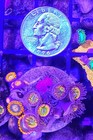 Wysiwyg Sunny D And Gatorade Zoa Combo Live Coral Frag Zoanthid Zoas