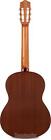 Cordoba Protege C1  Nylon String Acoustic Guitar - Spruce