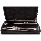 Protec Model Blt301t Zip Abs Triple Trumpet Case