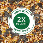 Wild Bird Food Basic Seed Blend  5 Lb