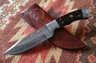 Gorgeous Custom Hand Made Damascus Steel Skinner Knife With Black Horn Handle