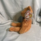 Ty Beanie Baby Fuzz Stuffed Plush Brown Bear 8  1999 With Mint Hang Tag