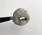 Natural Holey Beach Rock Hag Stone Adder Fairy Wishing Mystical Magic    b Us