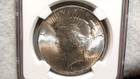 1924 P Peace Dollar Ngc Ms63 Uncirculated  1 Coin Buy It Now 