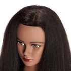Mannequin Head 100  Real Hair 16-18 Inch Training Head Manikin For Hairdresse   