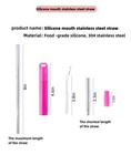 Naively-metal Reusable Straws  2 Pack Collapsible Portable Stainless Steel St   
