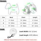 Breathable Mesh Small Dog Harness   Leash Pet Puppy Cat Vest Chihuahua Yorkie