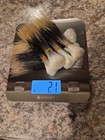 Porcupine Guard Hair 2 1 Ounces Roach Making Native American Crafts