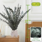 11 Pcs Real Dried Eucalyptus Stem For Shower   Bathroom Decor - 17   Large Na   
