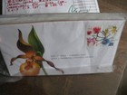 Canada Valuable Selection Of 34 First Day Covers  fdcs   Cv  140 15