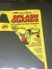 Rare Vintage Z-28 13 5     Splash Guards Mud Flaps Black silver Pair Nos