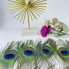 Bulk Natural Peacock Feathers-15pcs 10-12in  25-30 Cm  long Peacock Feathers For