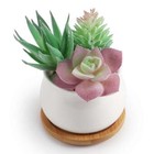 Artificial Succulent Plants Faux Assorted-18pcs Unpotted Faux Succulent Plants