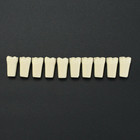 10pcs lot Dental Typodont Teeth Replacement Individual Teeth Fit Columbia 860