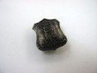 Vintage Ky State Dental Association Lapel Pin Kentucky Shield Badge Antiqued