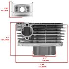 Caltric Cylinder Piston Rings And Gasket For Yamaha Ttr225 2000-2004 