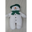 Raymond Briggs Eden The Snowman Plush 8  White Green Hat Scarf