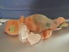 Ty Beanie Baby 9 Inch Rainbow The Iguana Chameleon Toy