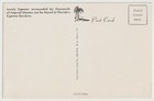 Cypress Gardens Florida Vintage Postcard Unposted