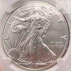 Mint  Burnished 2017  w   1 Silver Eagle Ngc Ms-70 Premier Select Series Rare 