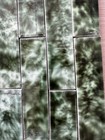 Antique Mottled Green Majolica Tile Fireplace Surround Set     88 Tiles