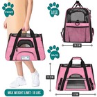 Airline Approved Pet Carrier For Cat  Soft Sided Dog Carrier For Small Dogs  Cat