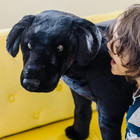 Melissa   Doug Giant Black Lab - Lifelike Stuffed Animal Dog  over 2 Feet Tall 