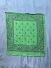 Green Paisley Bandana
