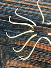 10 Real Jumbo Raccoon Baculum Penis Gag Gift Toothpick Mounts Dick Joke Art Odd