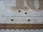 1885 Pine Creek Railway Stock Certificate  Signed W k   Vanderbilt - Gilded Age