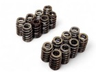 2008-2017 Chevy Ls3 6 2l V8 Valve Springs Oem Gm 12713265 - Set Of 16